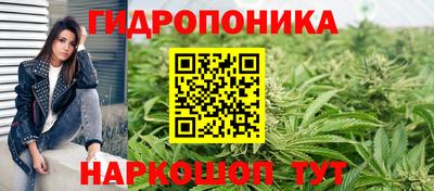 гашиш Кингисепп